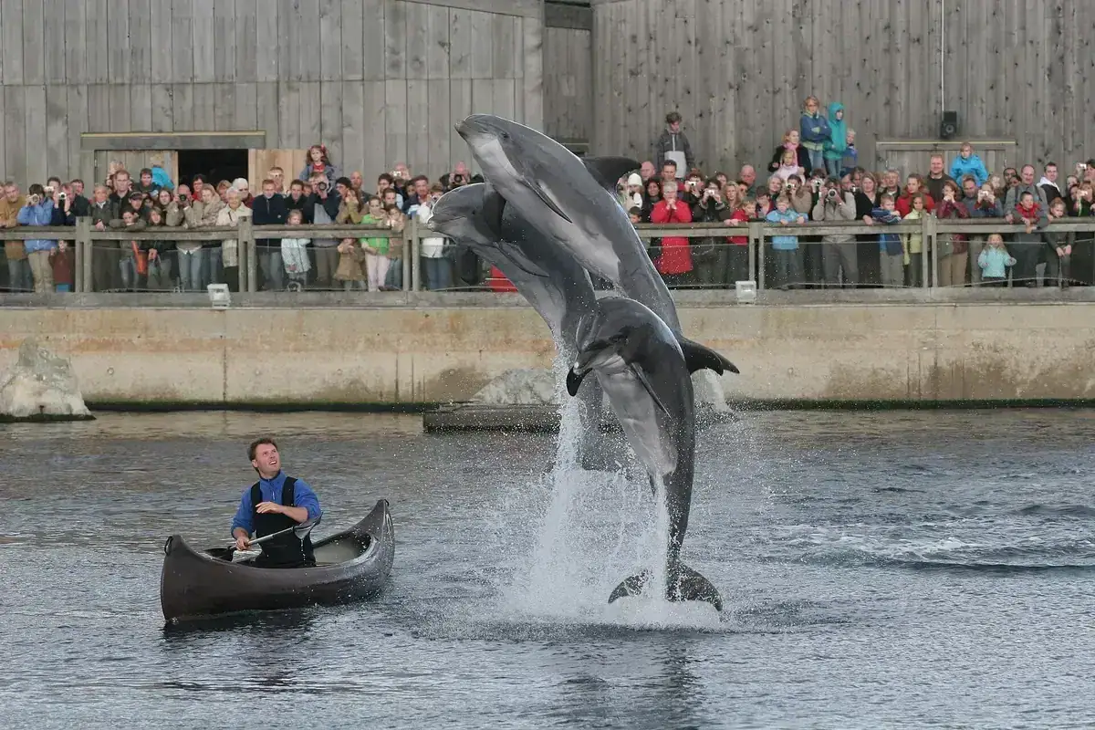 Dolfinarium in Harderwijk