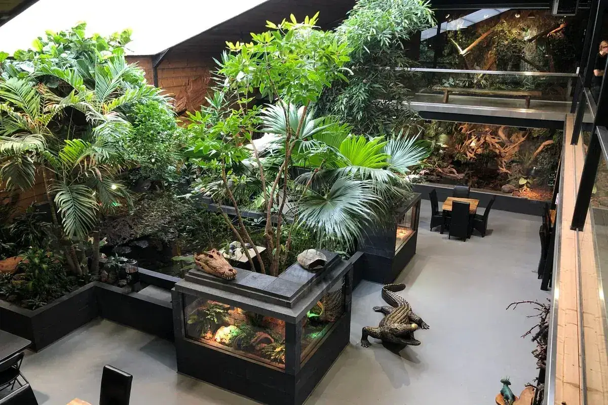 Reptielenhuis De Aarde in Breda