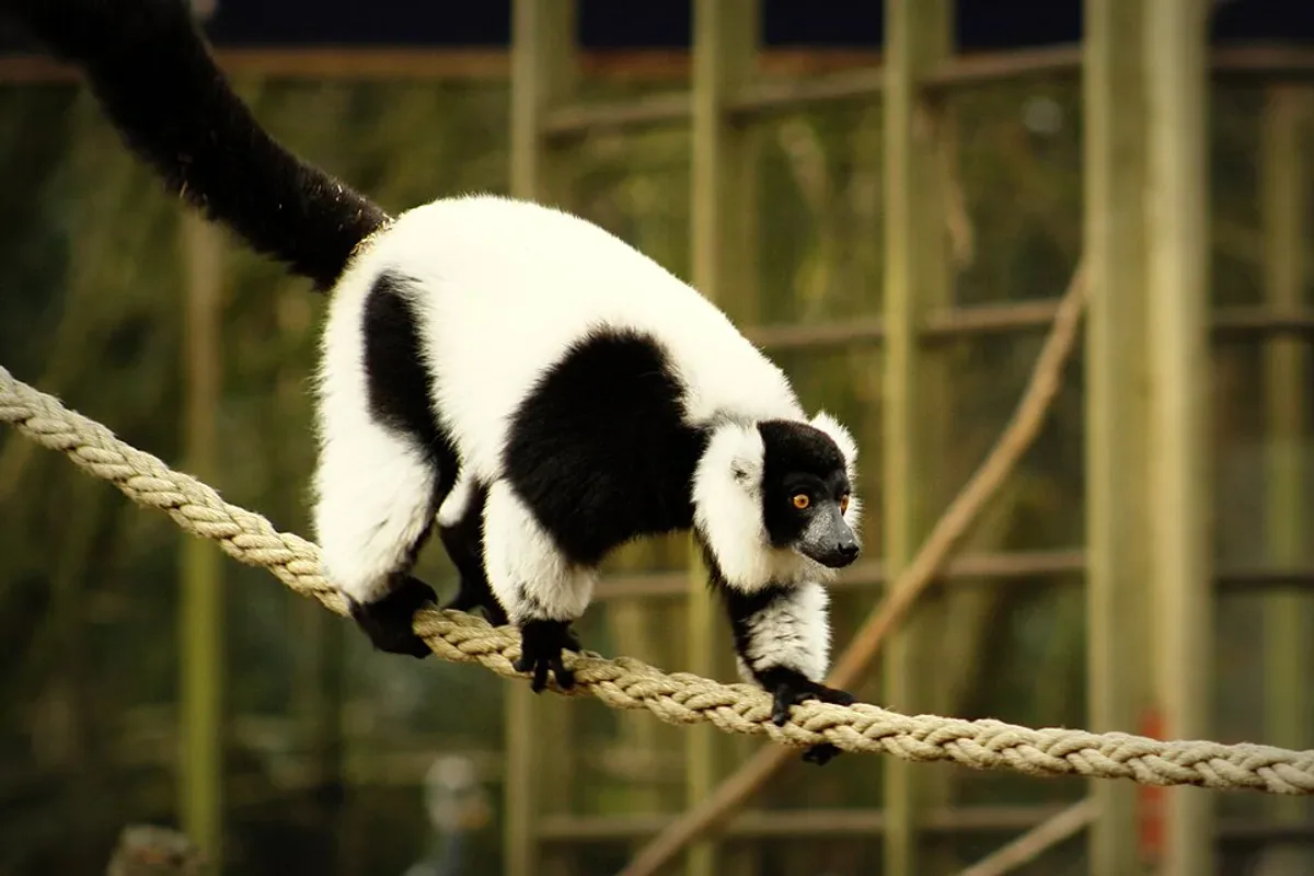 Zoo Veldhoven in Veldhoven