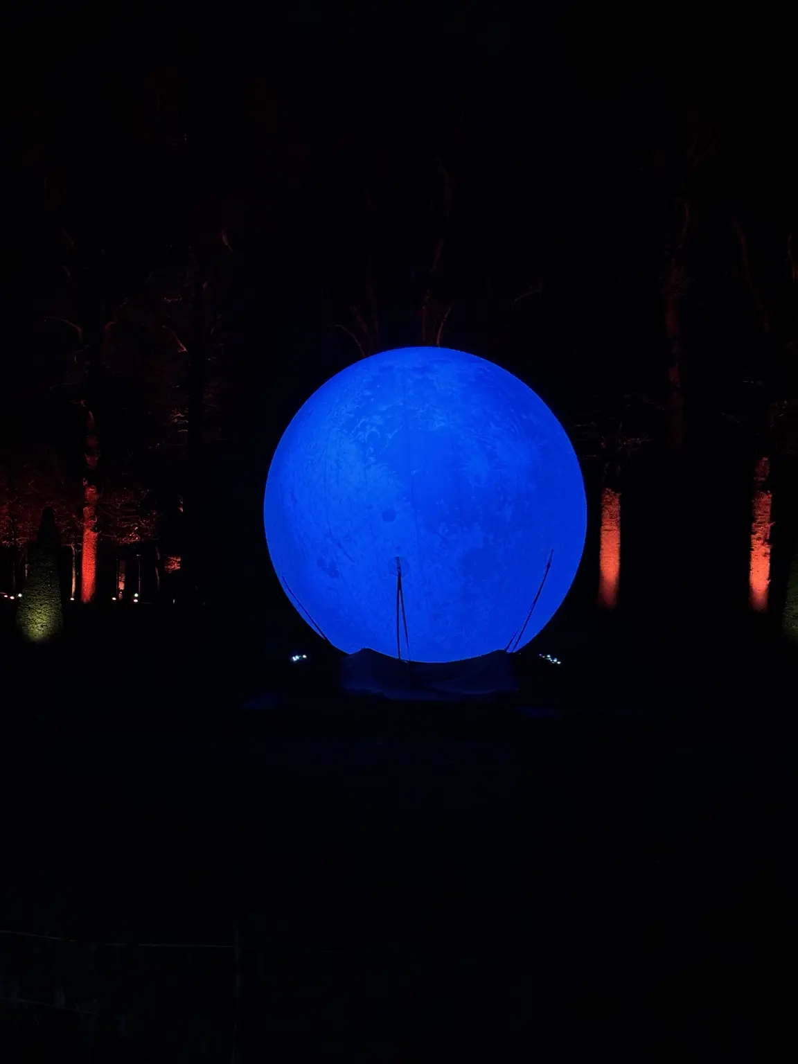 Een grote blauw verlichte bol tussen donkere bomen