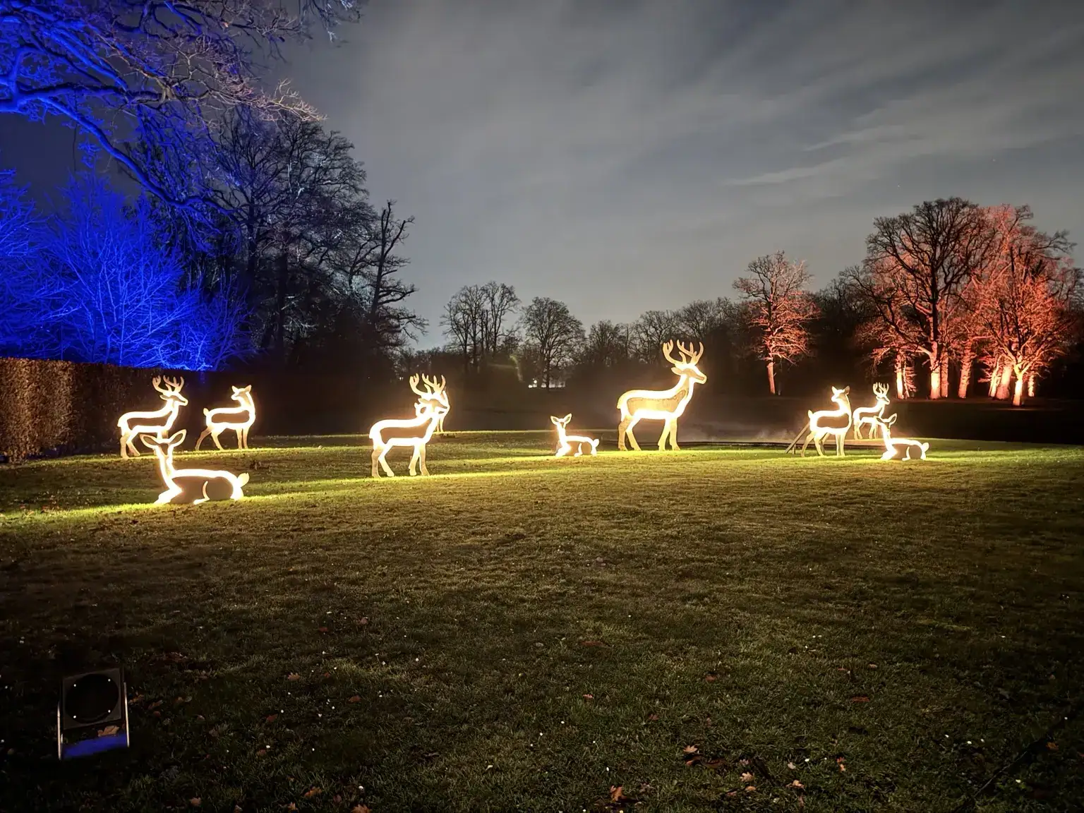 Verlichte hertenfiguren in het gras van het kasteelpark