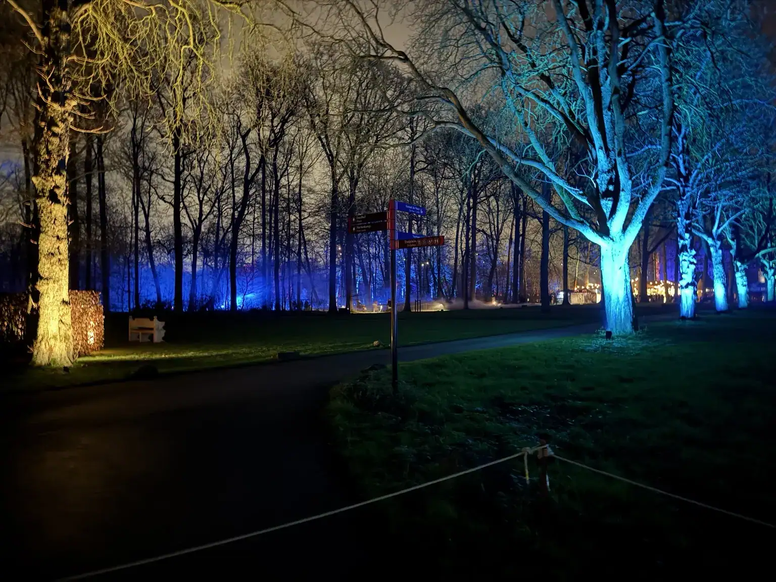 Blauw en goud verlichte bomen langs de wandelroute in het kasteelpark